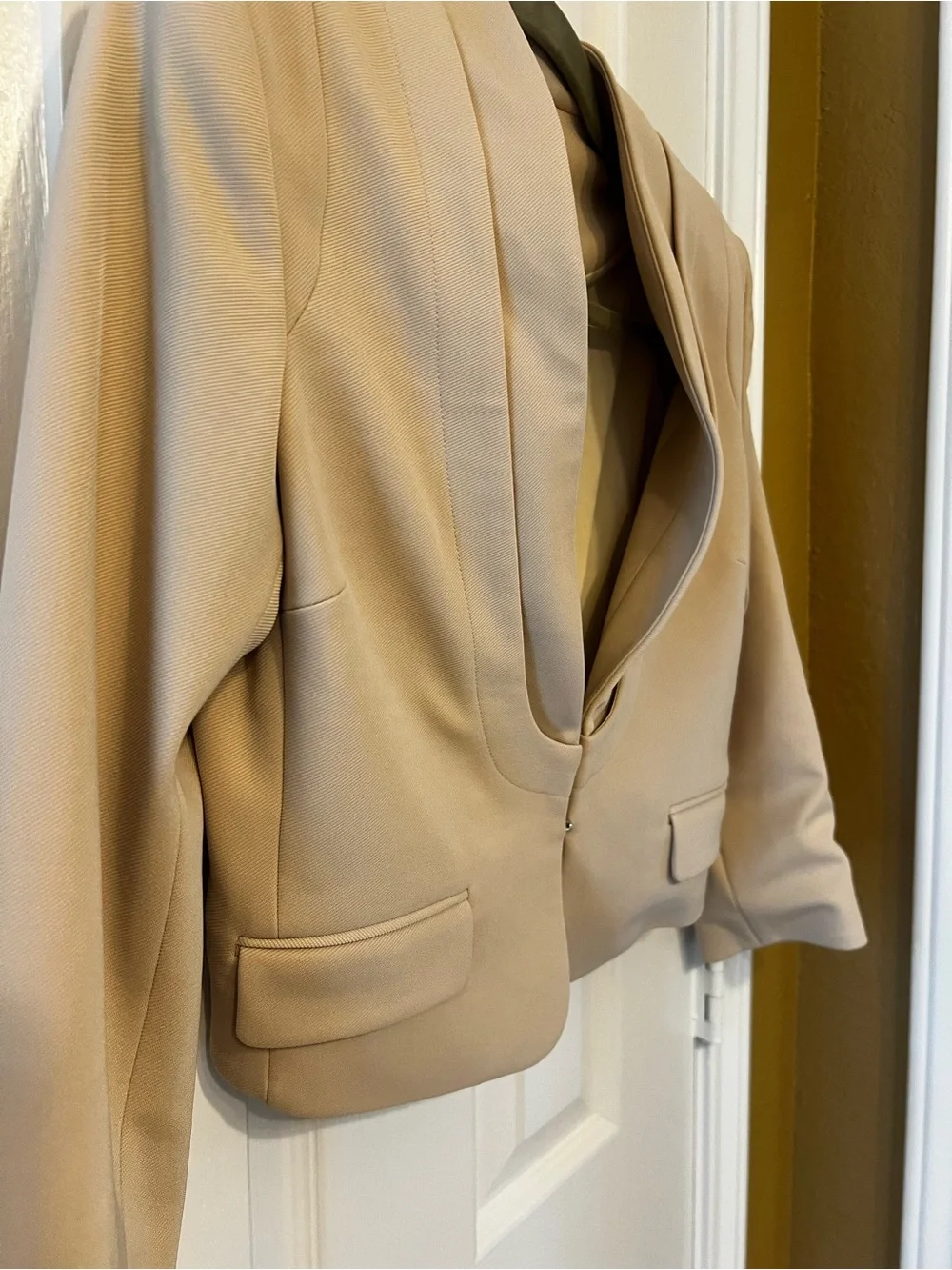 ZAC Zac Posen Cropped Blazer in Light Beige, Size 0